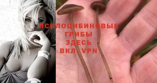 каннабис Горнозаводск
