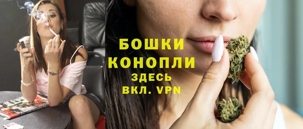 дурь Гусиноозёрск