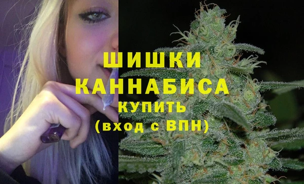 прущие крисы Горняк