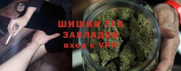 прущие крисы Горняк