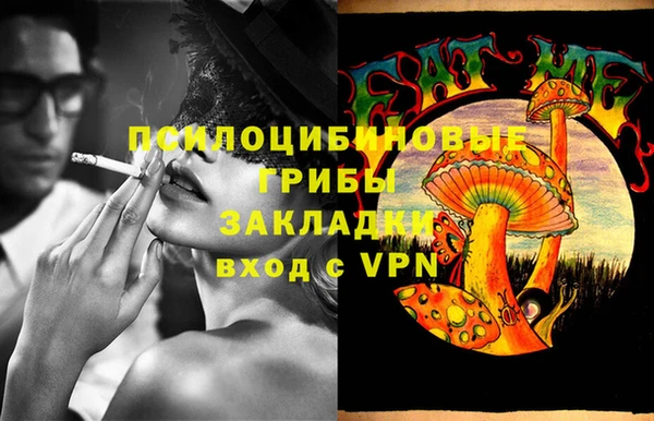 прущие крисы Горняк