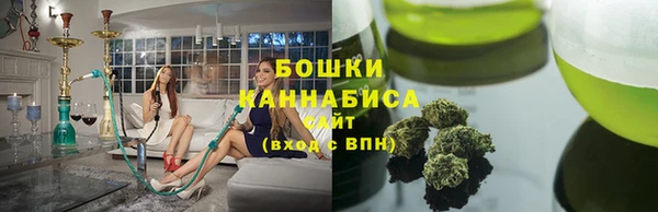 прущие крисы Горняк