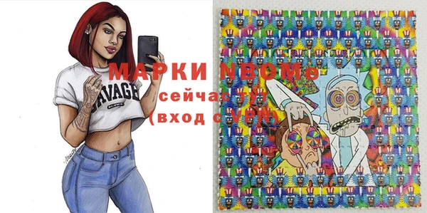 дурь Гусиноозёрск
