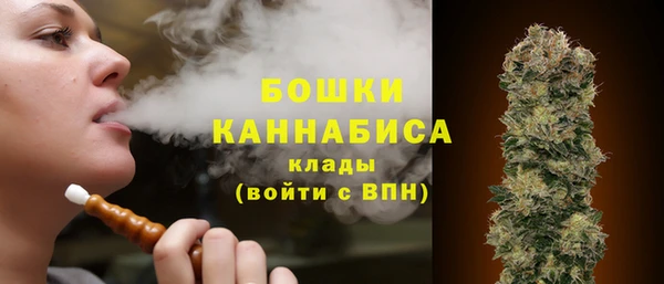 прущие крисы Горняк