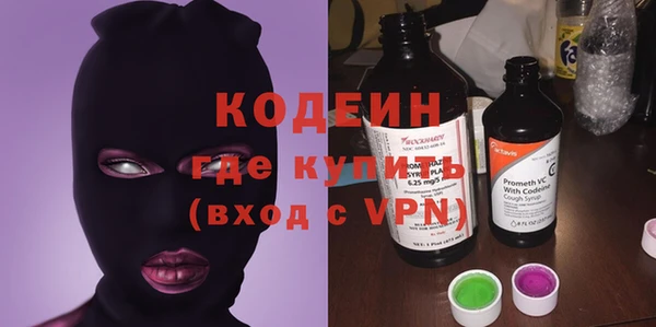 2c-b Гусев