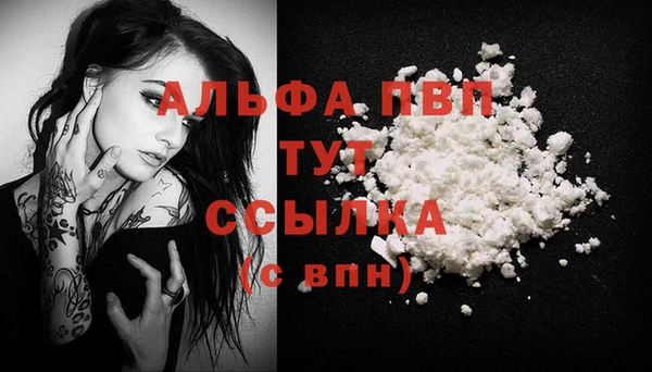 прущие крисы Горняк