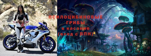 дурь Гусиноозёрск