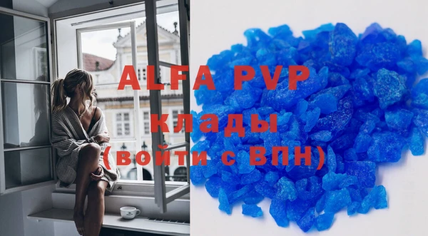 прущие крисы Горняк
