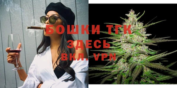 прущие крисы Горняк