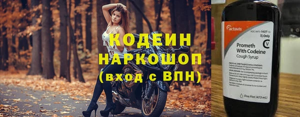 2c-b Гусев