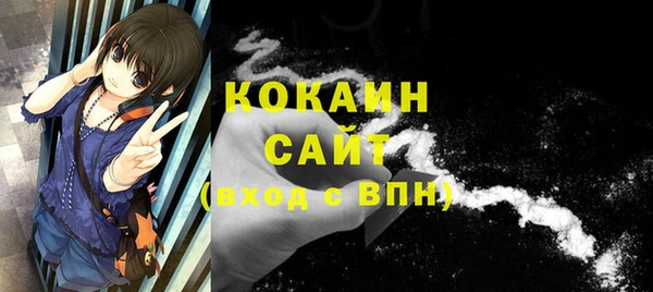 стаф Гусь-Хрустальный
